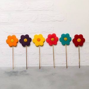 قیمت کوکی خانگی